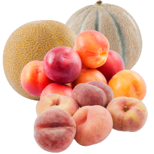 Nectarines schaal à 1000 gram,
wilde perziken schaal à 500 gram,
cantaloupe of galia meloen
